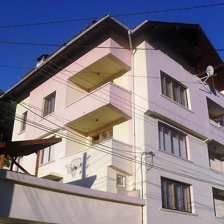 Vitosha Guest House Devin Exteriér fotografie